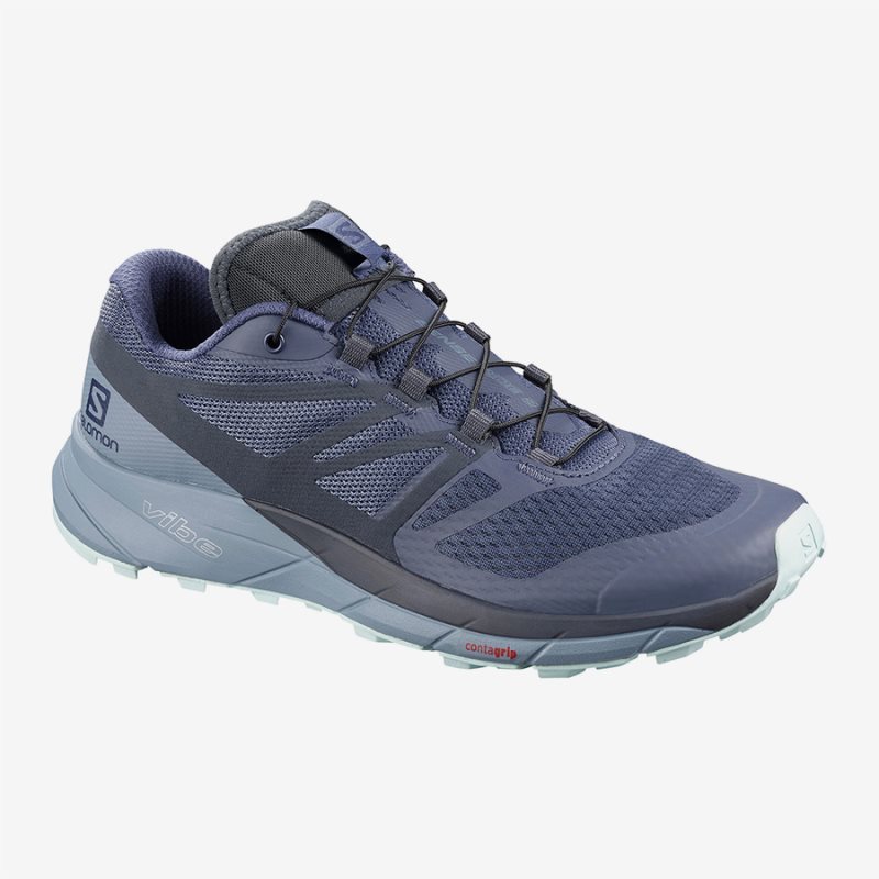 Salomon SENSE RIDE 2 W Womens Running Shoes Lavender UK CMBW